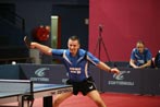 Cihak Marek