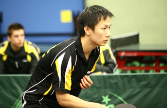 Yang Chen